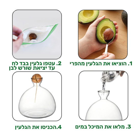 מעמד זכוכית אלגנטי ומעוצב להנבטת גלעין אבוקדו מעמד זכוכית אלגנטי ומעוצב להנבטת גלעין אבוקדו
